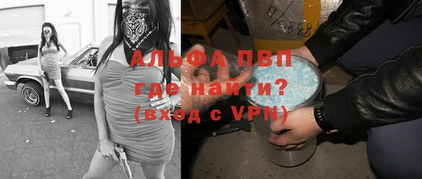 индика Балабаново