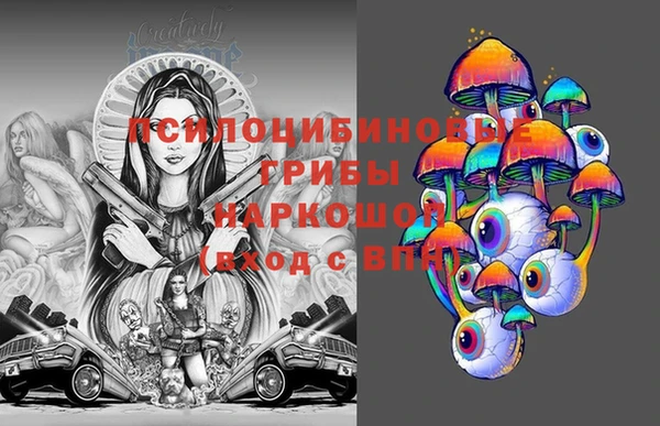 индика Балабаново