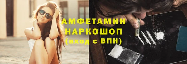 индика Балабаново