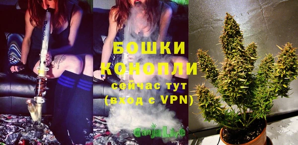 не бодяженный Белокуриха
